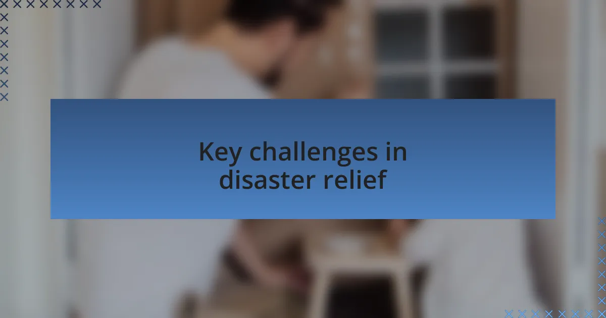 Key challenges in disaster relief